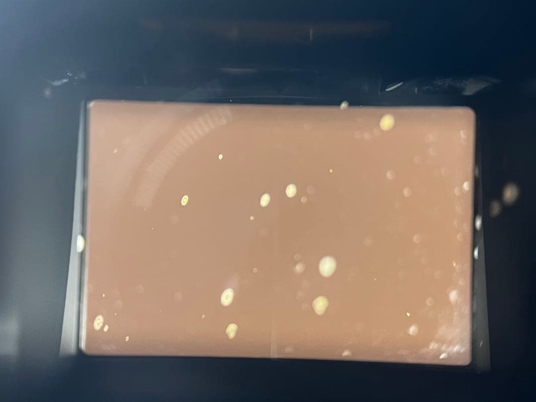 ジャンク Nikon ニコン F2 フォトミックファインダーDP-１付