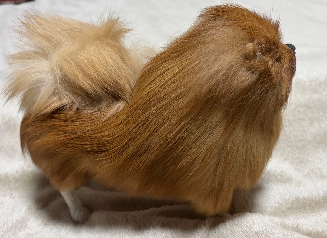 犬　ポメラニアン　リアル　置物