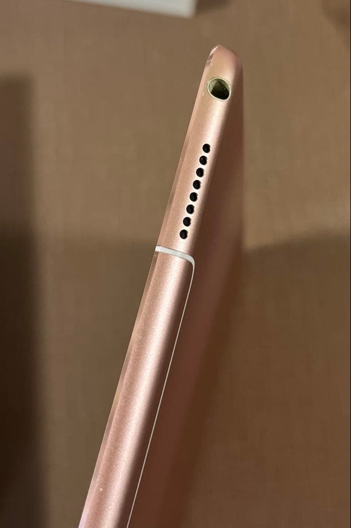 iPad Pro 10.5 256G セルラー　Apple Pencil付き