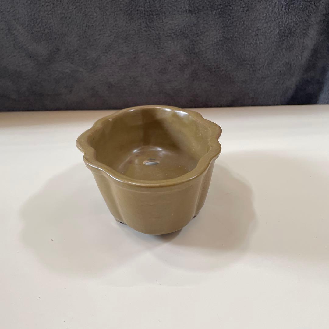 オリーブグリーン 花びら型鉢[1]