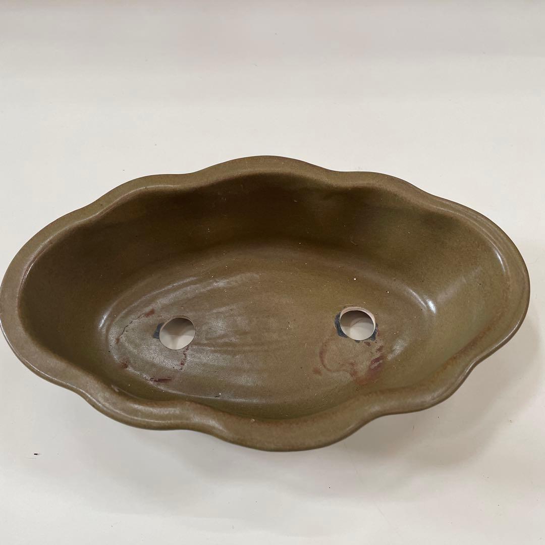 オリーブグリーン 花びら型鉢[1]