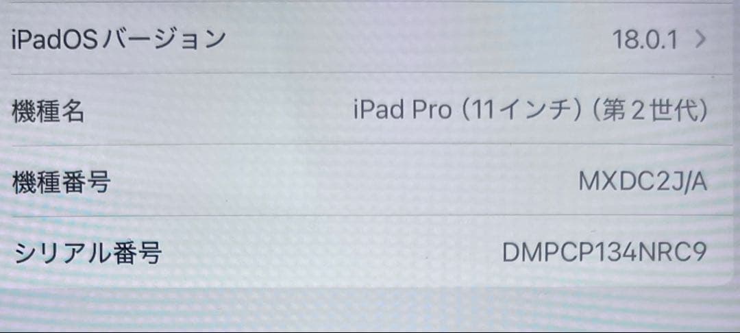 iPad Pro 11インチ 16gb 256GB + Apple Pencil