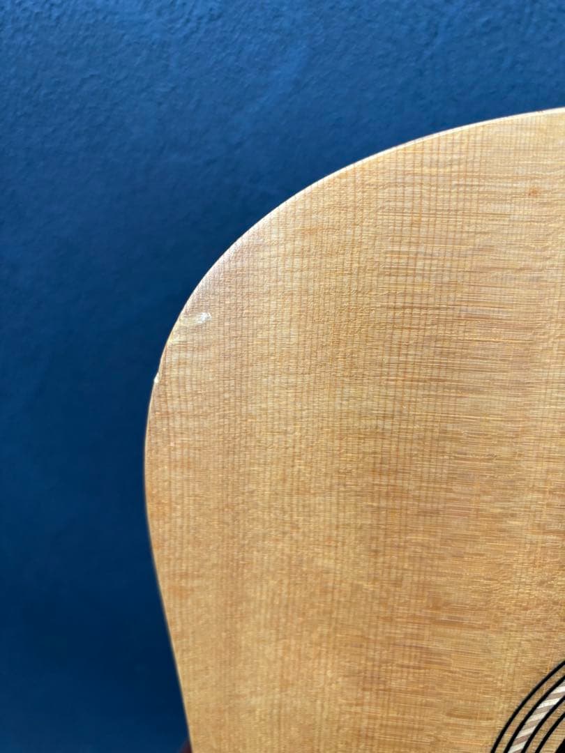 Taylor Academy 10 アコースティックギター