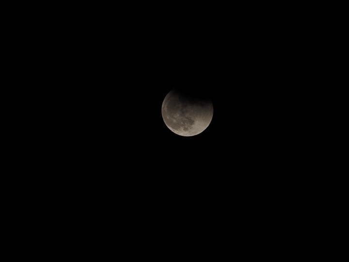 OLYMPUS M.ZUIKO DIGITAL ED 40-150mm f/4…