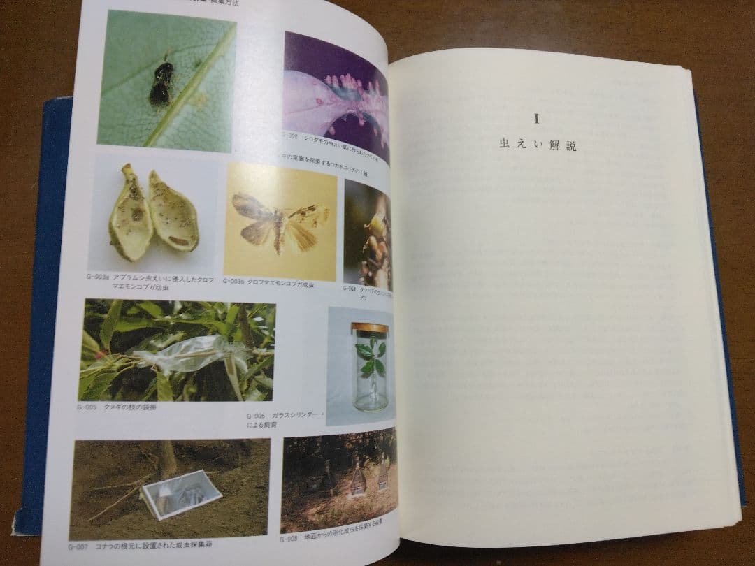 日本原色虫えい図鑑