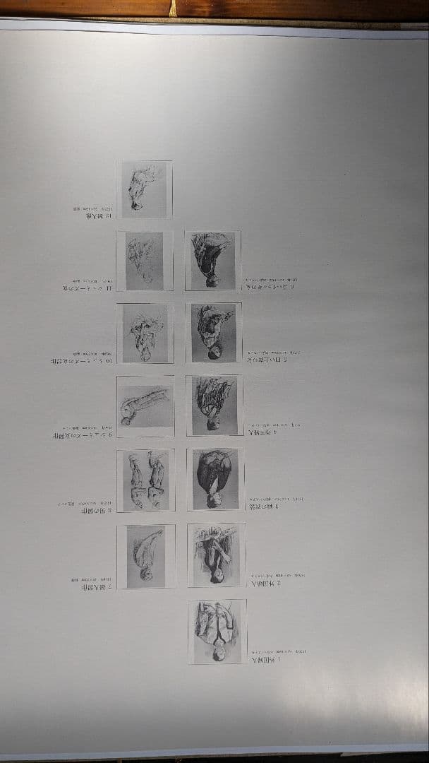 小磯良平と画集付きのベルナールビュッフェ