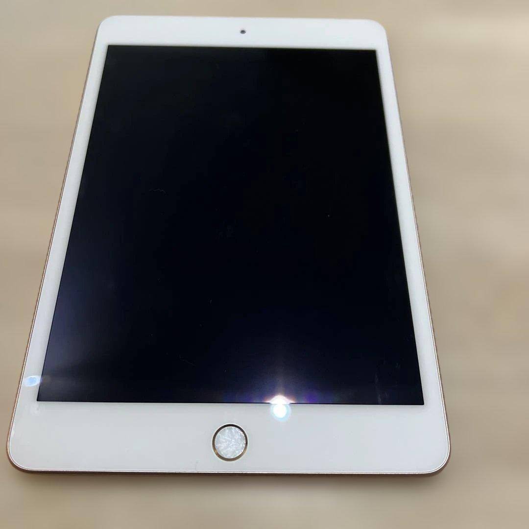 iPadmini第5世代セルラーモデル64GB本体のみ 背面カメラ故障