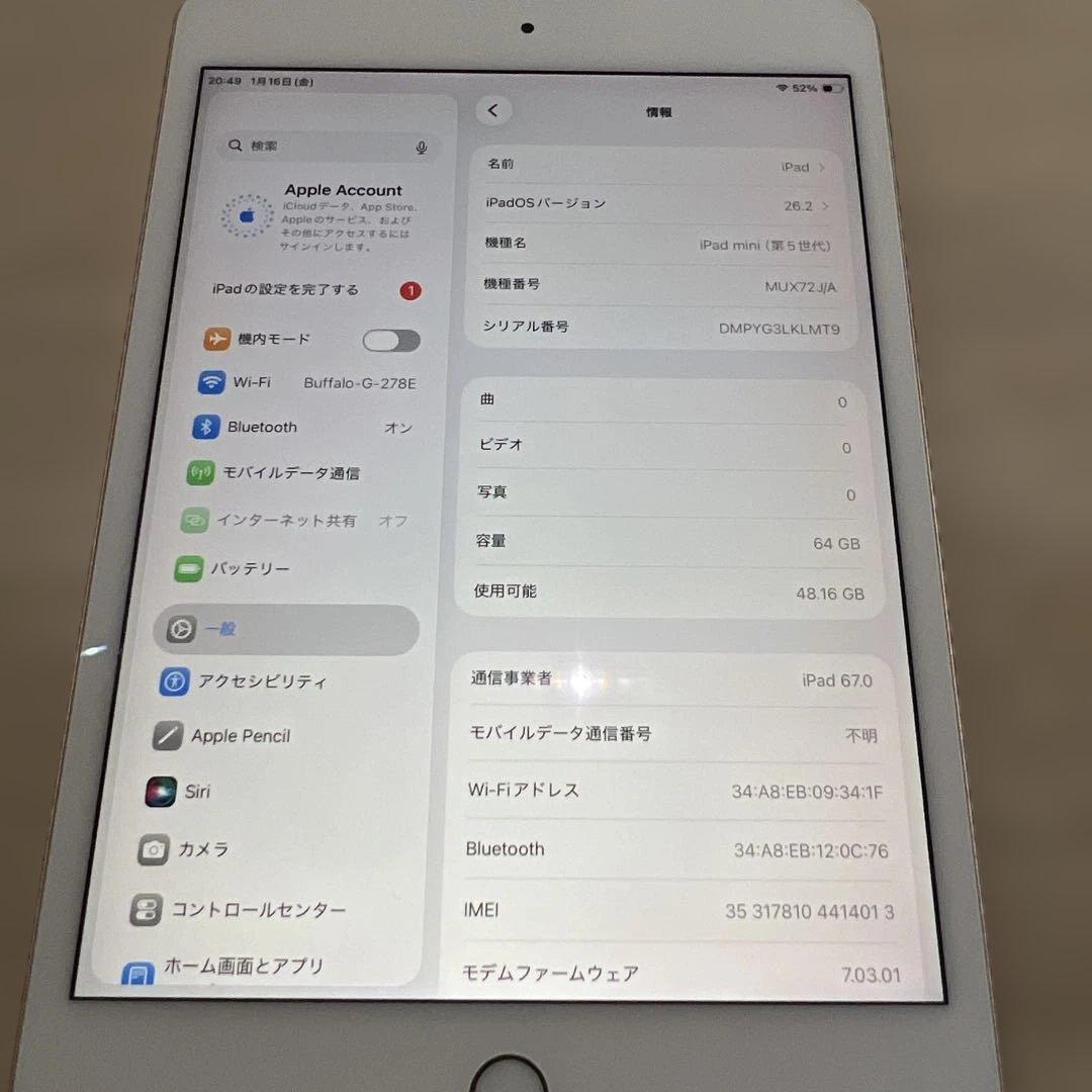 iPadmini第5世代セルラーモデル64GB本体のみ 背面カメラ故障