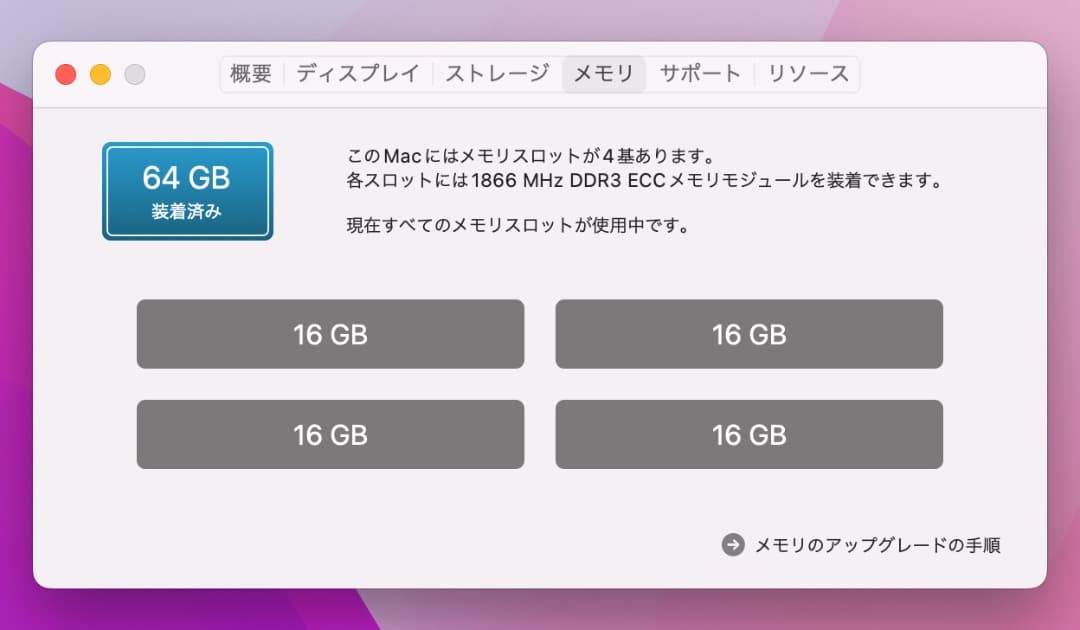 Apple Mac Pro 2013 12コア / 64GB / 500GB