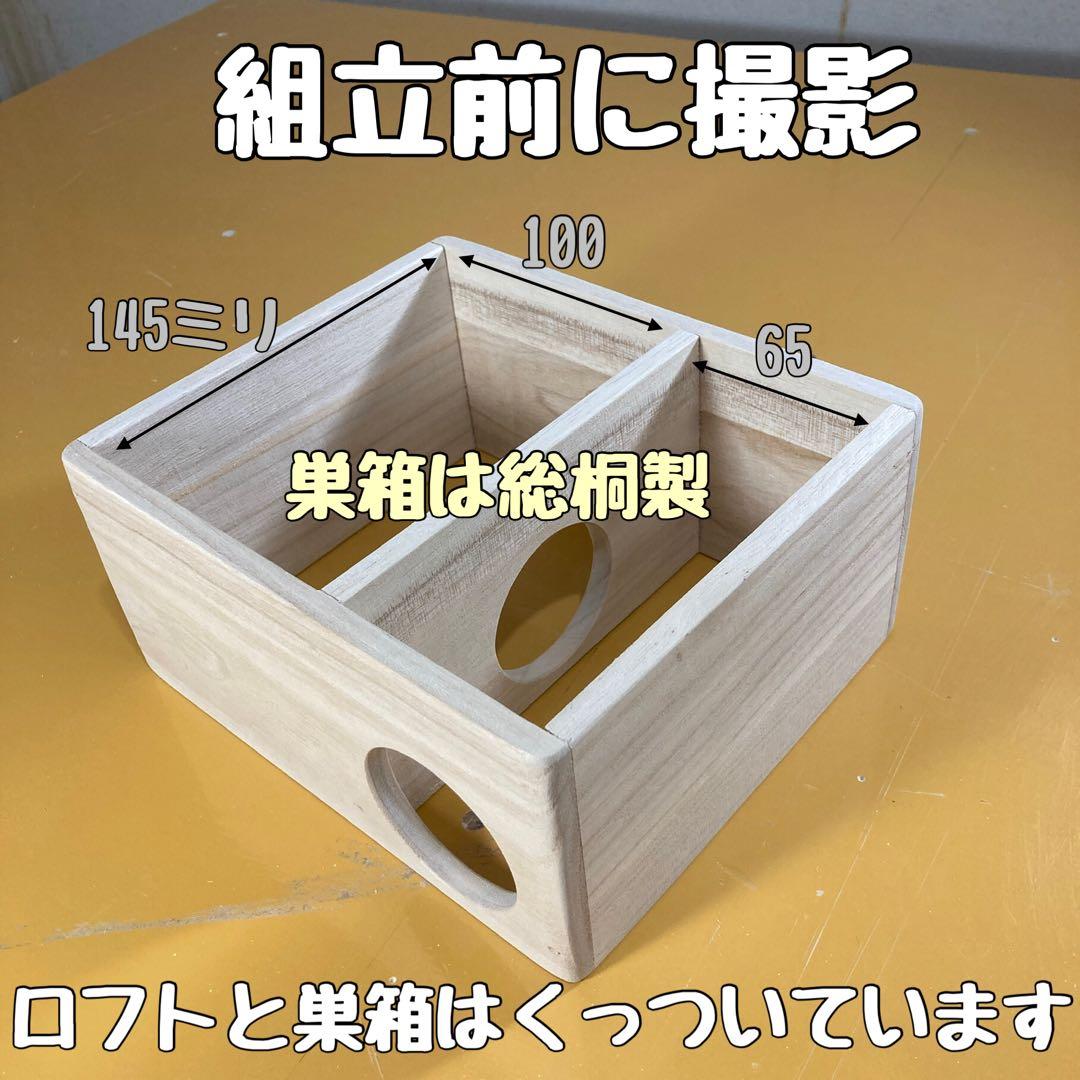 a.i　ハムスター　ブカスター650用　ロフト