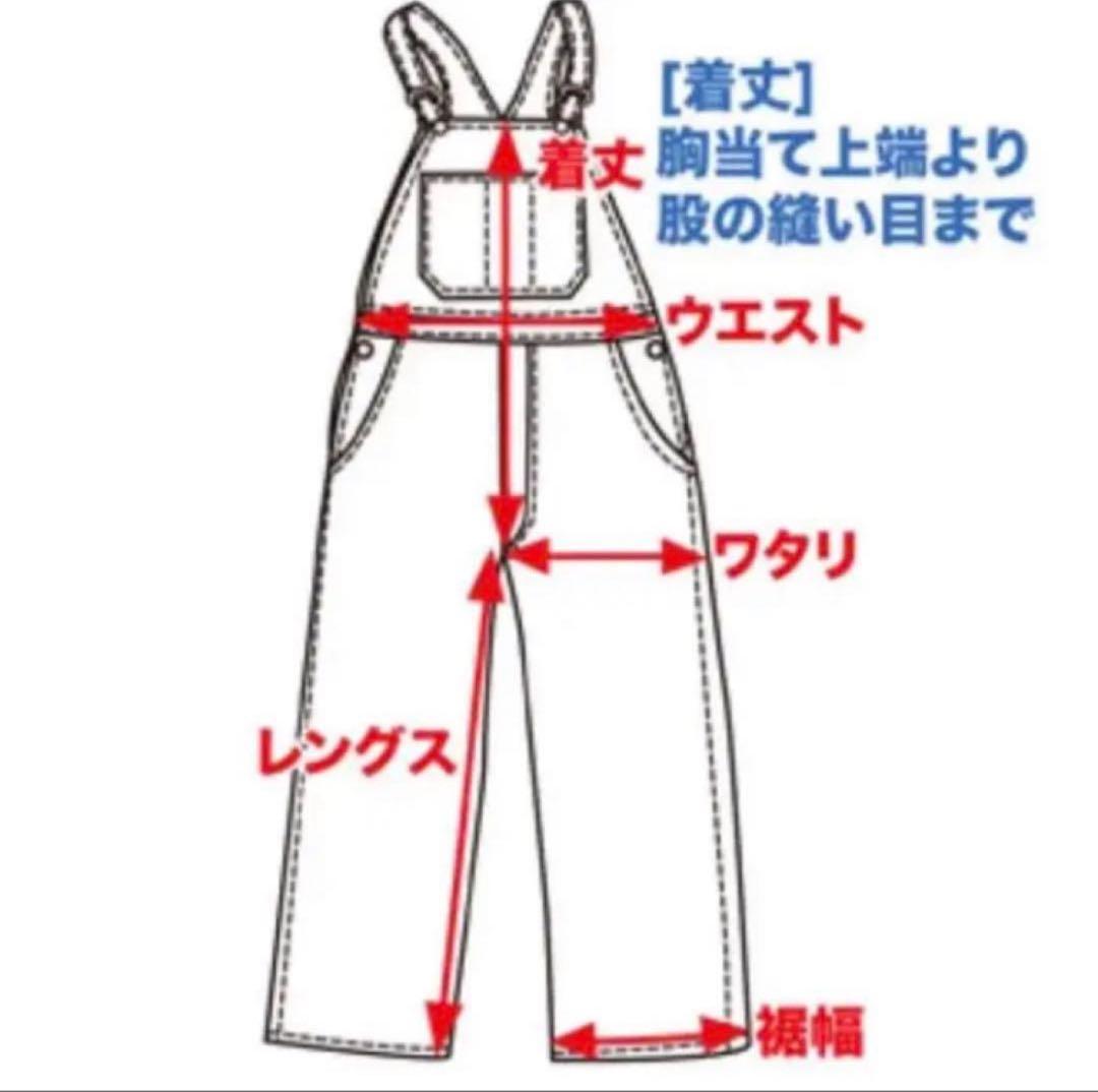 80's USA製 carhartt 100周年 オーバーオール　vintage