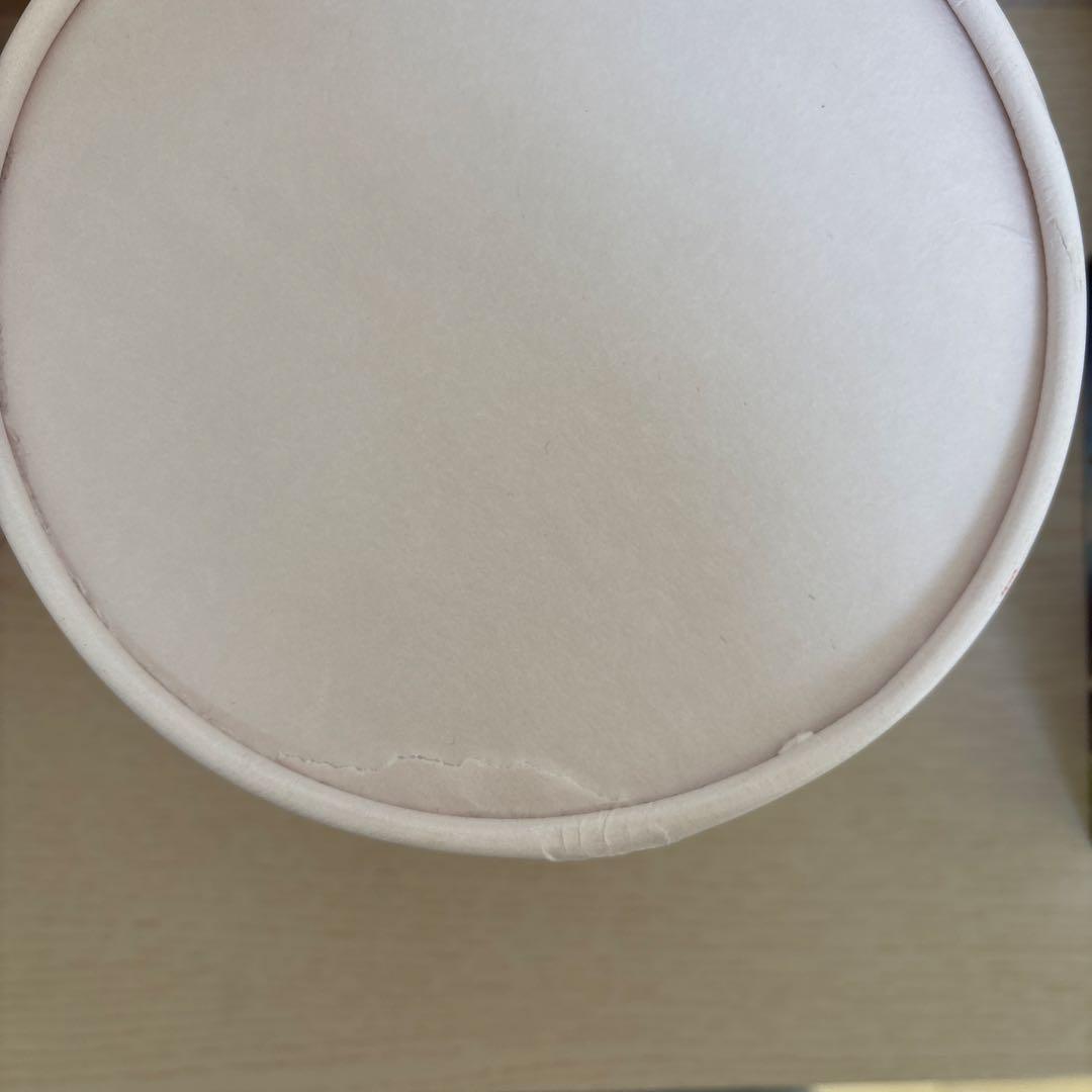 ボディ・フェイスケア FESTINO Facial Moist Nano Steamer