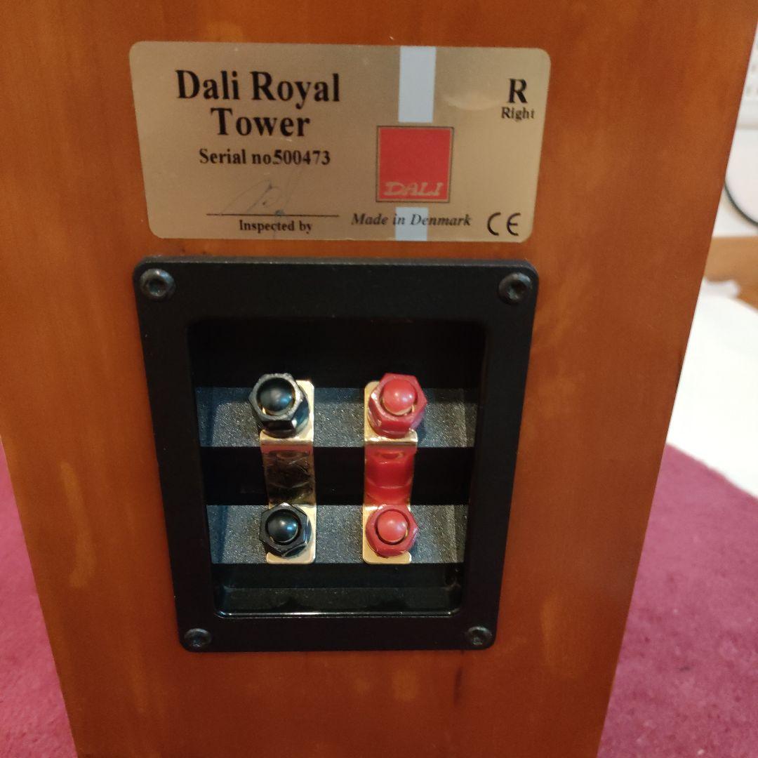 DALI ダリ スピーカー  TOWER ペア 美品