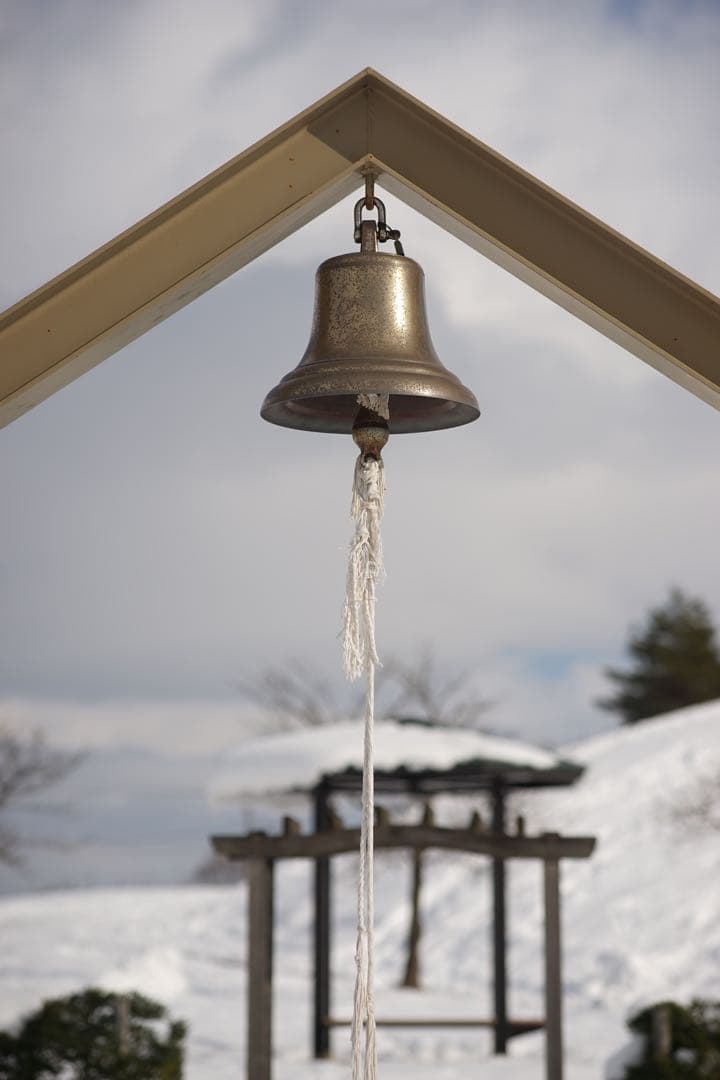 作例付き　TOKINA AT-X M100 100mm F2.8マクロ　管mpr