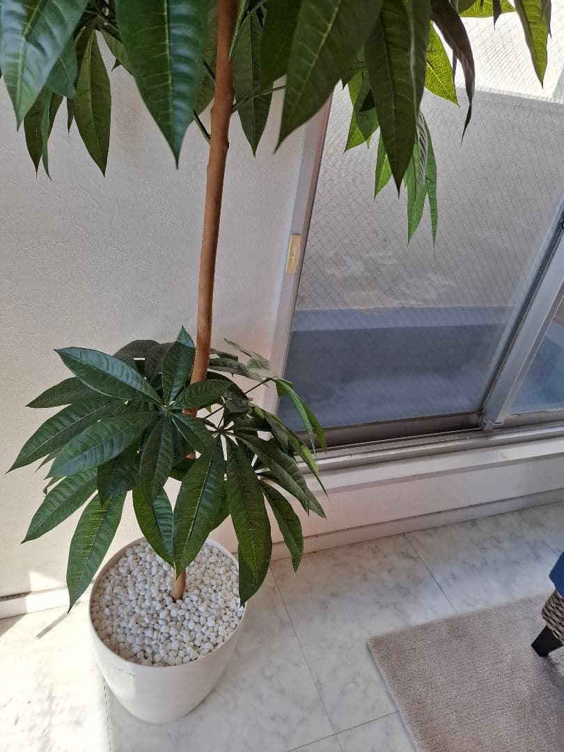 人工観葉植物 高さ150cm ホワイト鉢パキラ