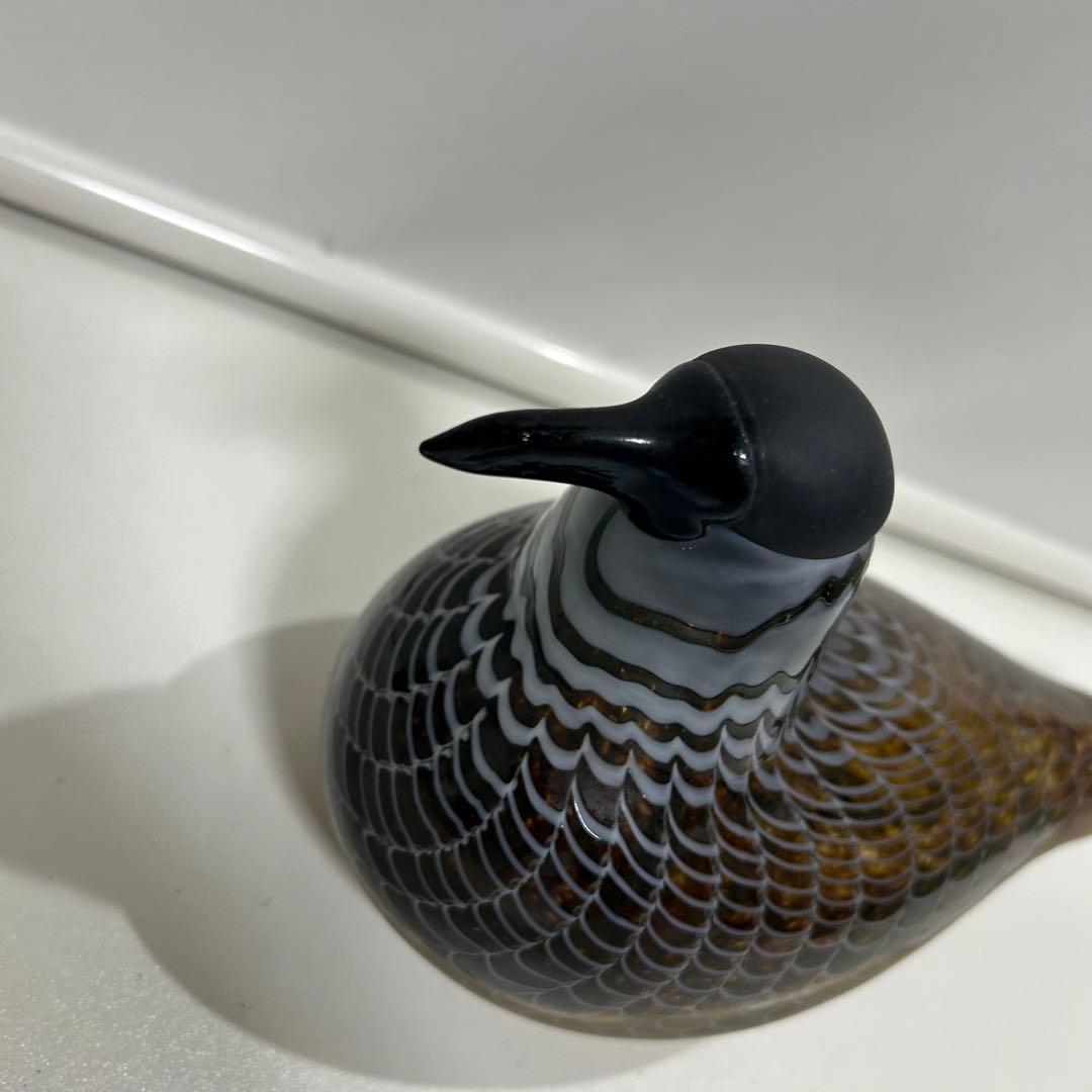 希少■オイバトイッカ バード Labbe nuutajarvi 