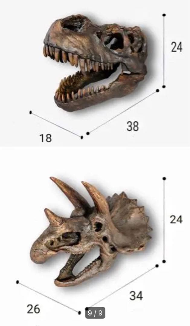 ✨お得なセット✨ ティラノサウルス トリケラトプス 化石 ジュラシックワールド