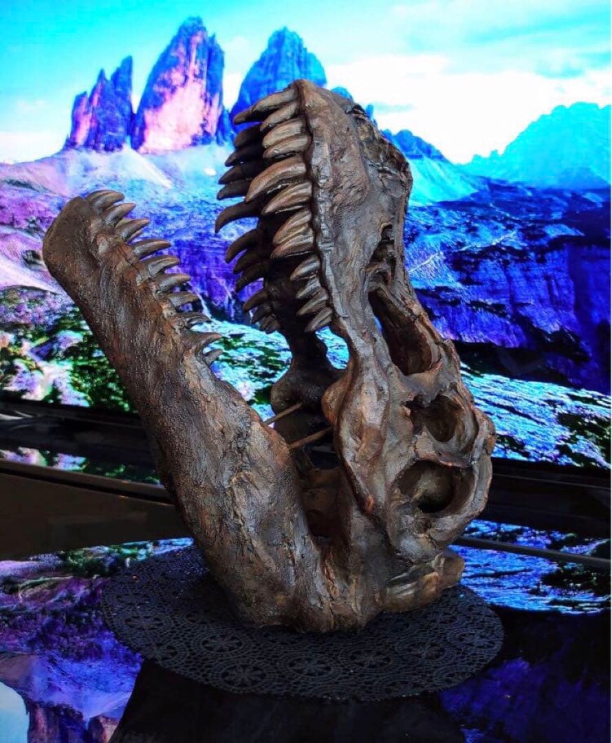 ✨お得なセット✨ ティラノサウルス トリケラトプス 化石 ジュラシックワールド