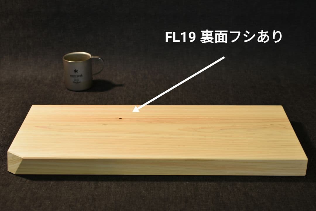 専用！ 他の方は購入しないでください！FM10とFL19！