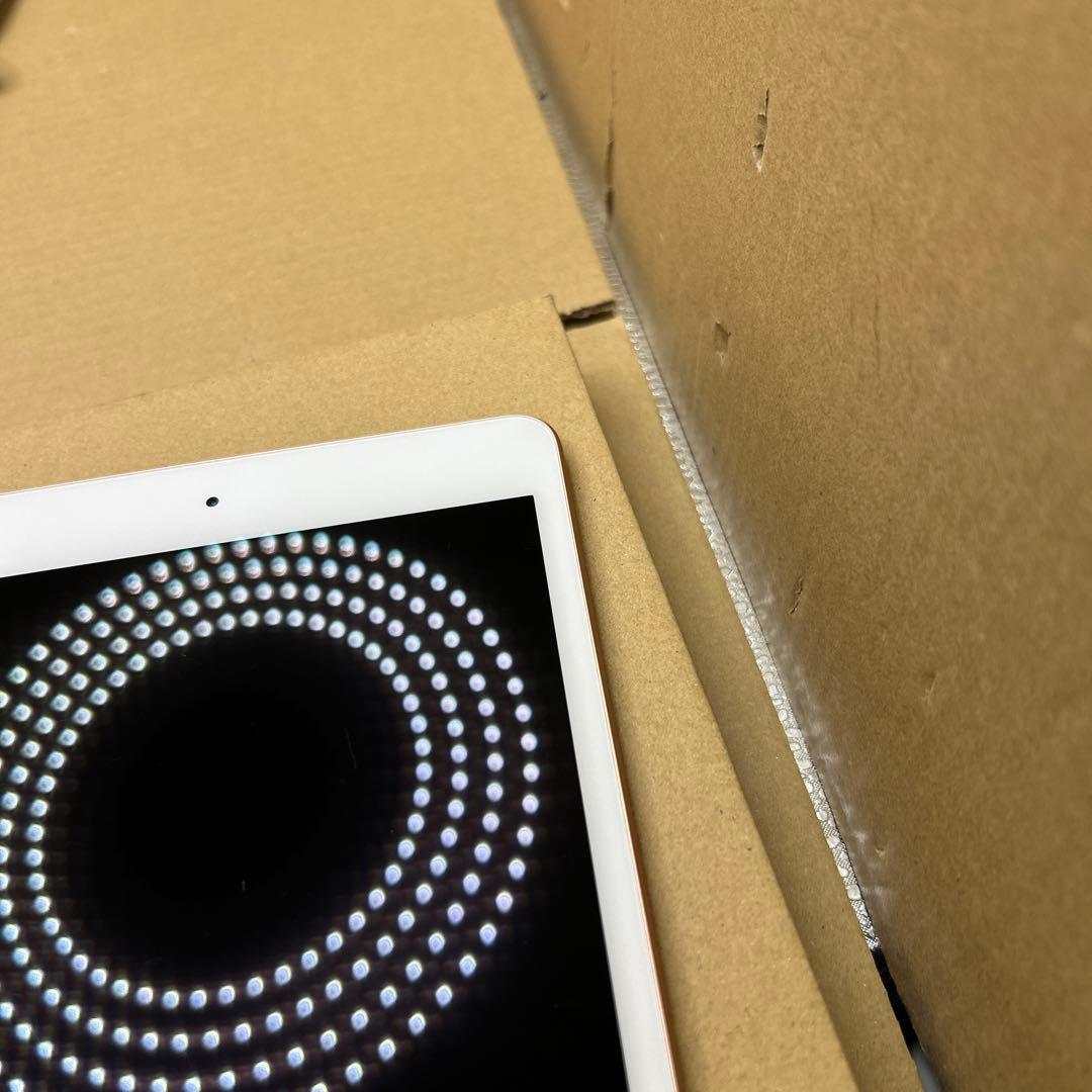 Apple iPad mini (第５世代) Wi-Fi 64GB