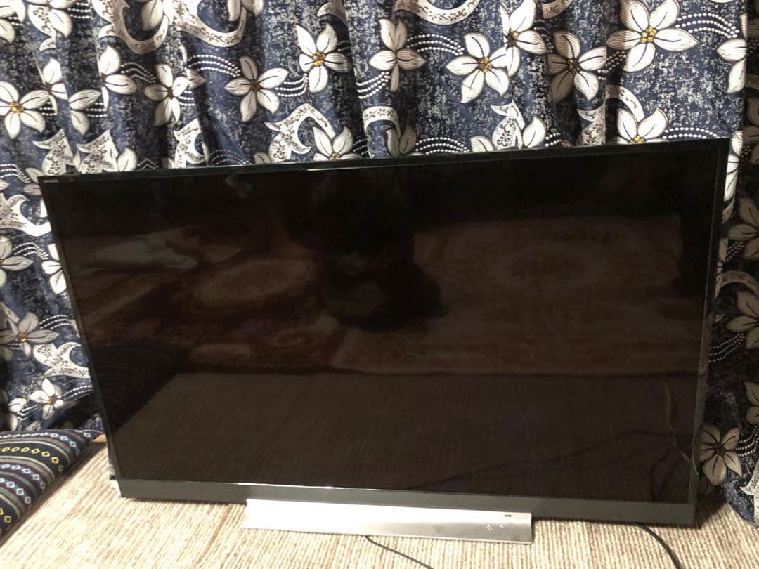 Toshiba REGZA 液晶テレビ　49Z720X リモコン付き