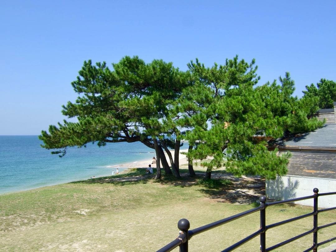 動作品 FUJIFILM FINEPIX F31fdコンパクトデジタルカメラ