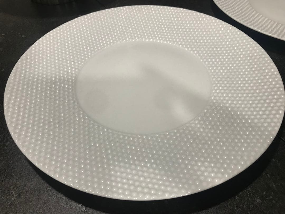 最終価格！未使用品　RAYNAUD 大皿プレート2枚セット