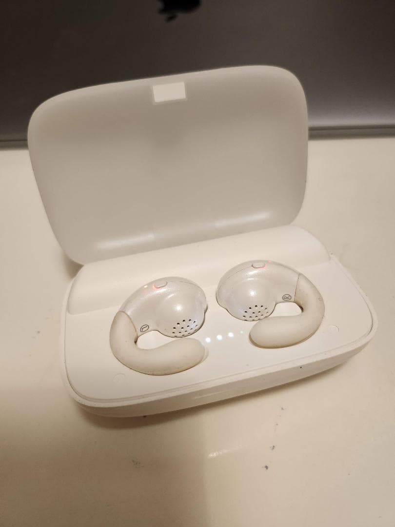 SHOKZ OPENDOTS ONE + オープンイヤー3機種おまけ！ケースも！