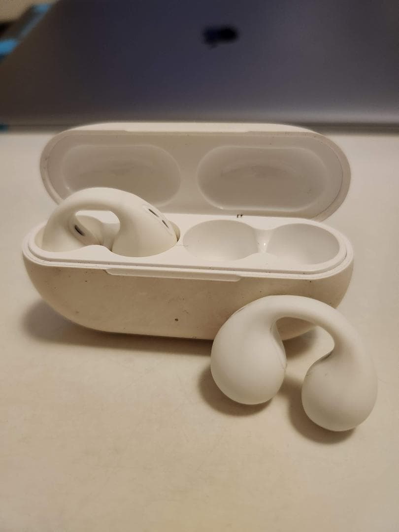 SHOKZ OPENDOTS ONE + オープンイヤー3機種おまけ！ケースも！