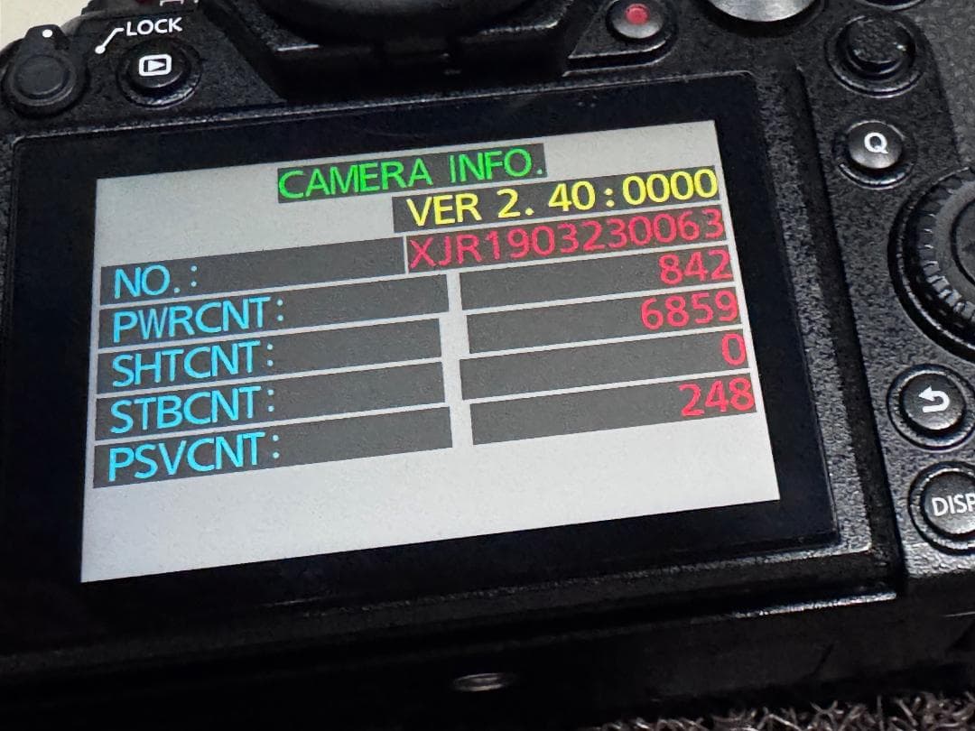 綺麗 Panasonic LUMIX DC-S1 シャッター数約6859回