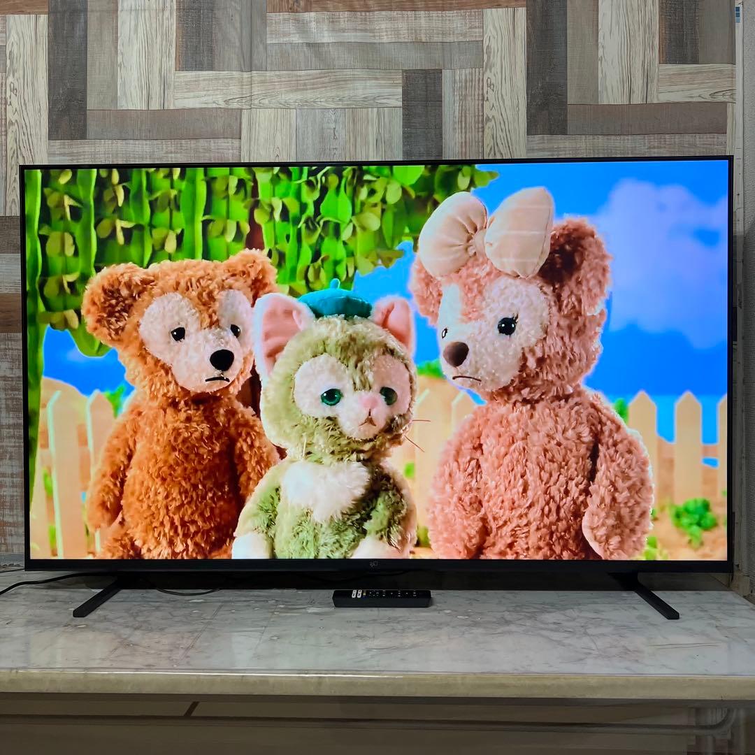 即日受渡❣️全国送料込半年前購入FPD55型4KGoogleTV ネット動画多数