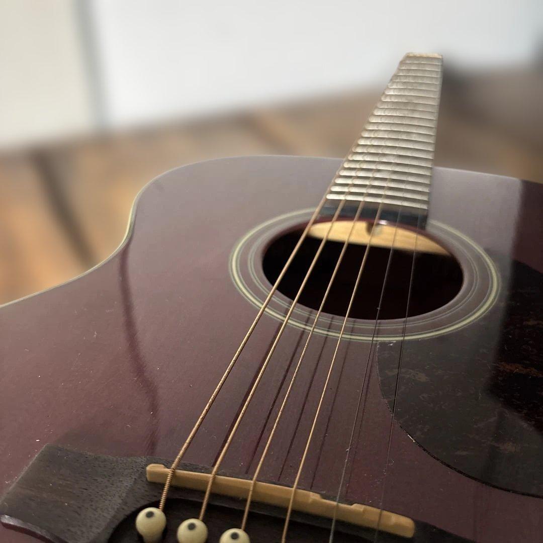 cort L100-0 TP アコースティックギター