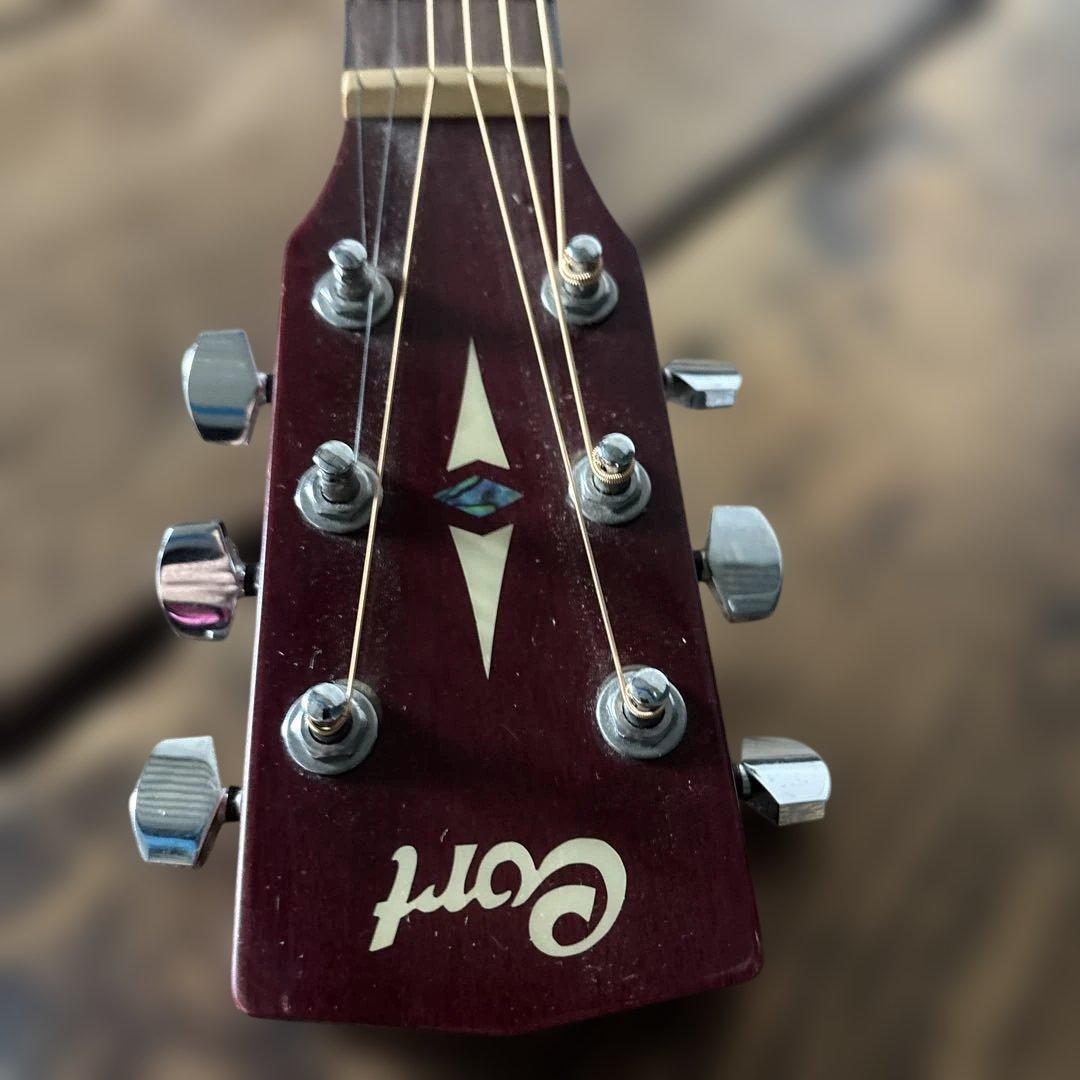 cort L100-0 TP アコースティックギター