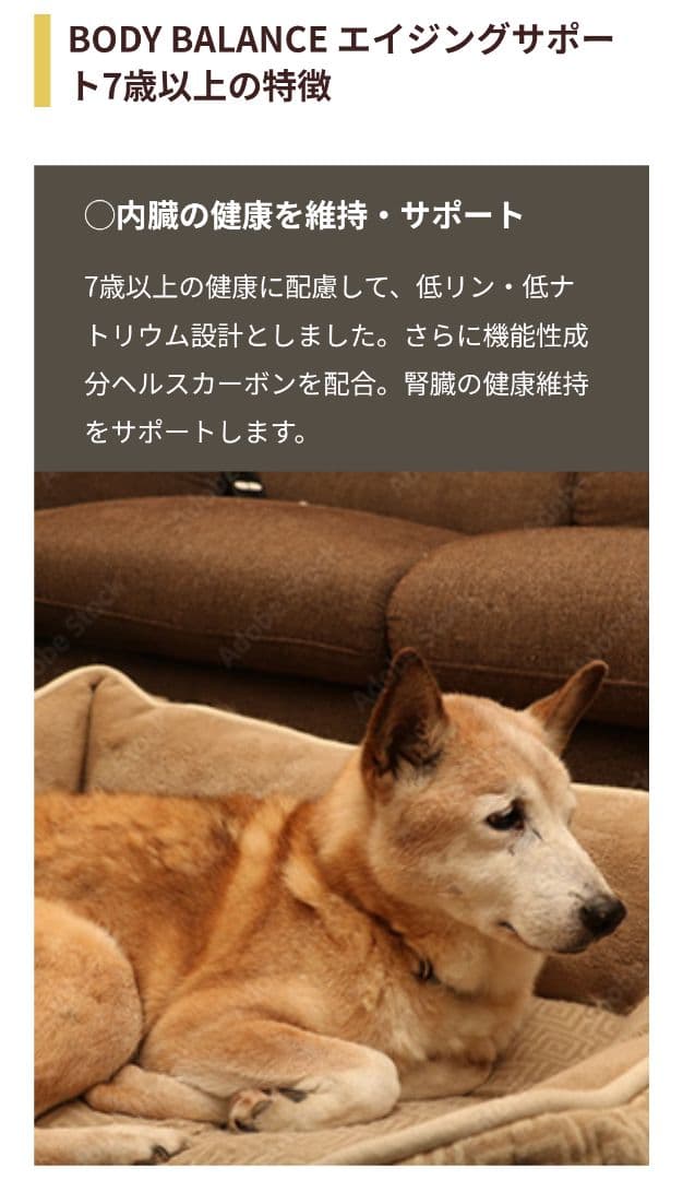 ボディバランス エイジングサポート ドッグフード【10kg／新品未開封】