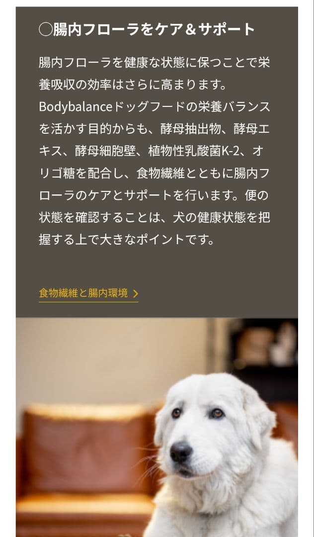 ボディバランス エイジングサポート ドッグフード【10kg／新品未開封】