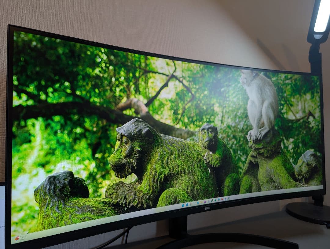 ★かなねこさま用★LG ウルトラワイド モニター ディスプレイ