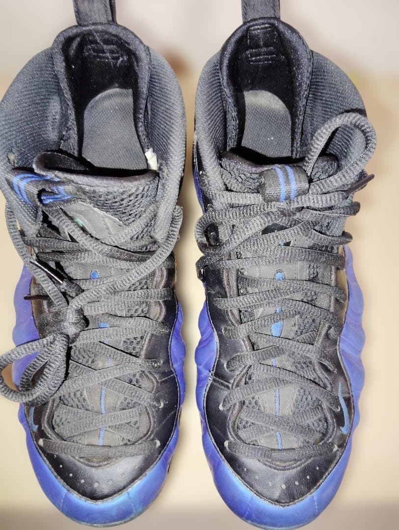 シューズ(男性用) Nike 28.5cm AIR FOAMPOSITE PRO