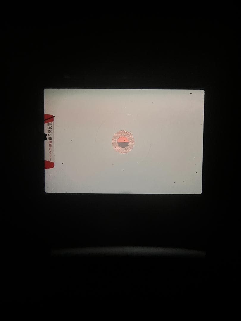 美品 NIKON ニコン EM フィルムカメラ　モルト新品交換済 M157