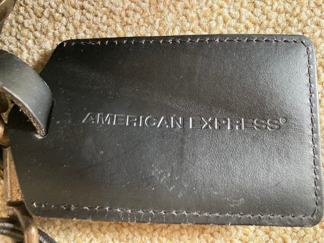 レザーのガーメントバッグ