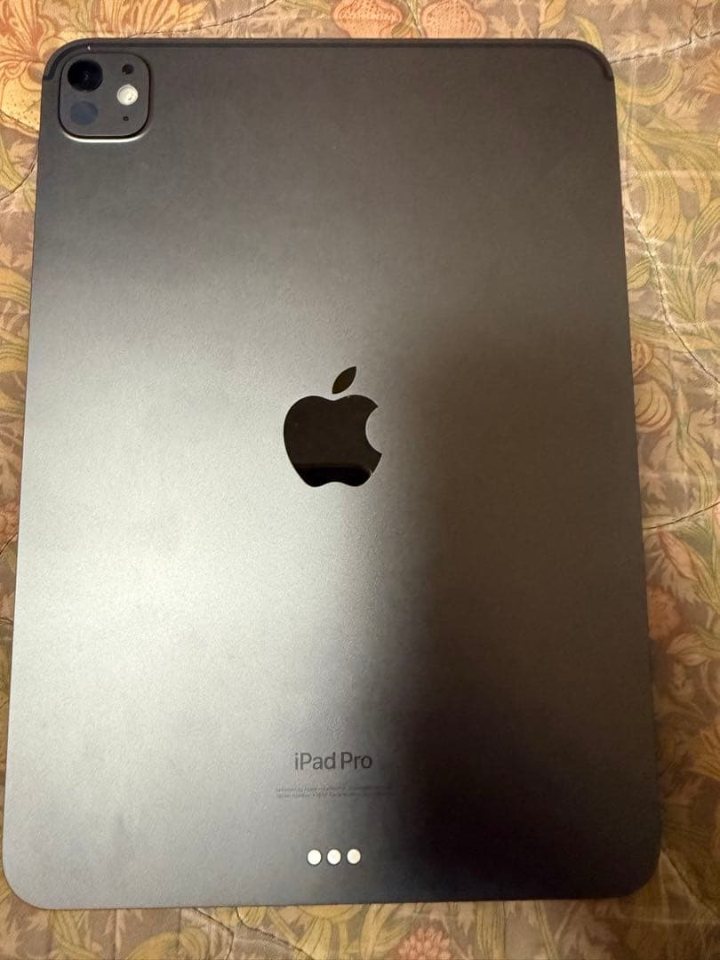 Apple iPad Pro 11インチ 256GB M4