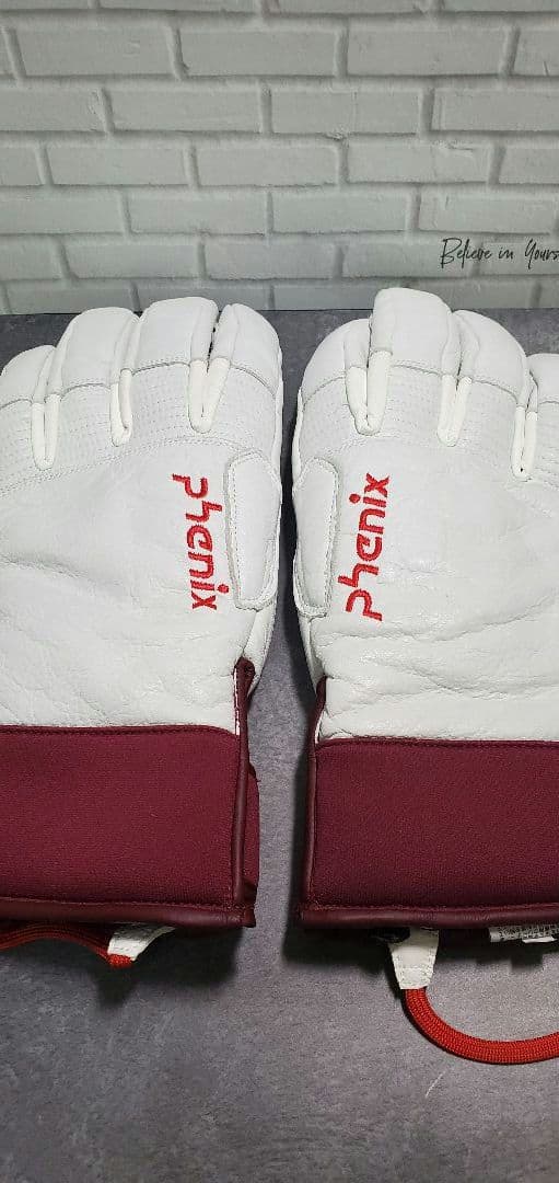 PHENIX フェニックス スキーグローブ
