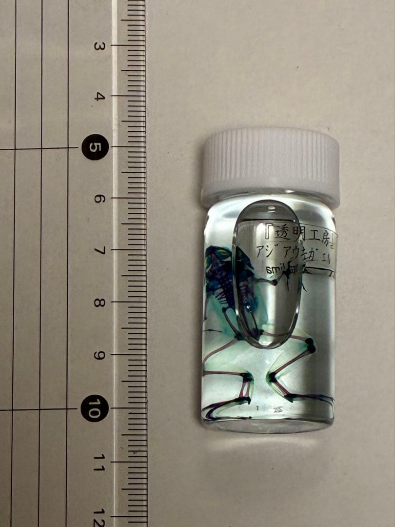 透明標本ボトル4種類 & キーホルダー