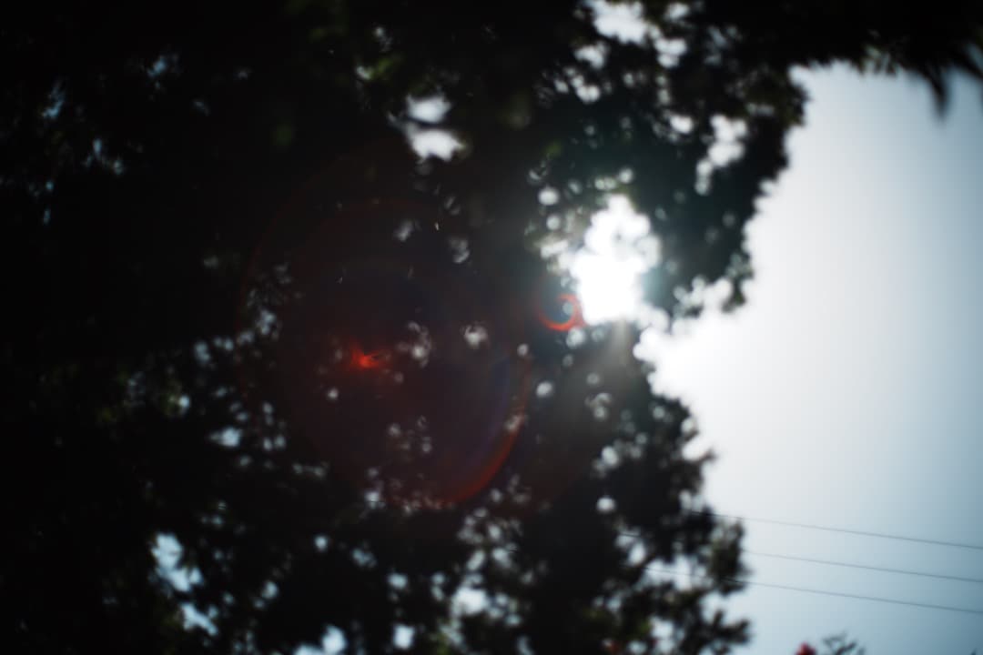 【極美品】Carl Zeiss Planar 50mm F1.4 AEJ 372