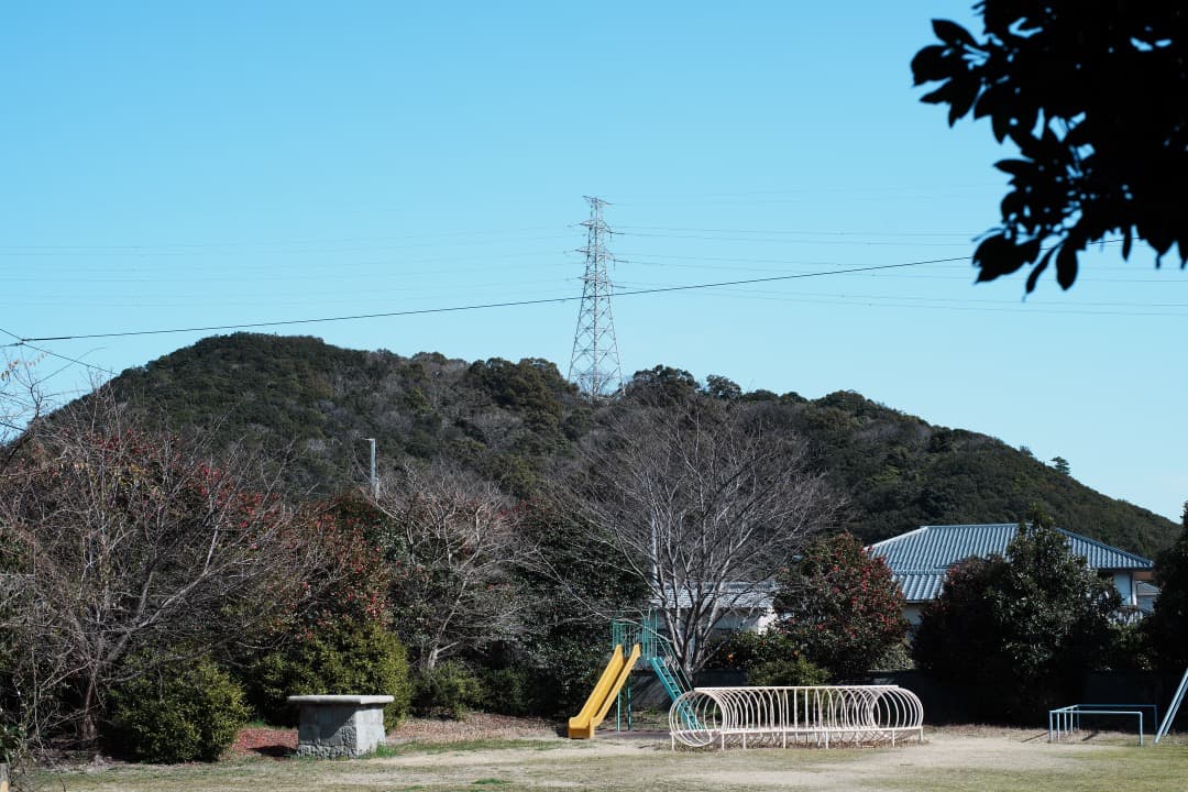 【極美品】Carl Zeiss Planar 50mm F1.4 AEJ 372