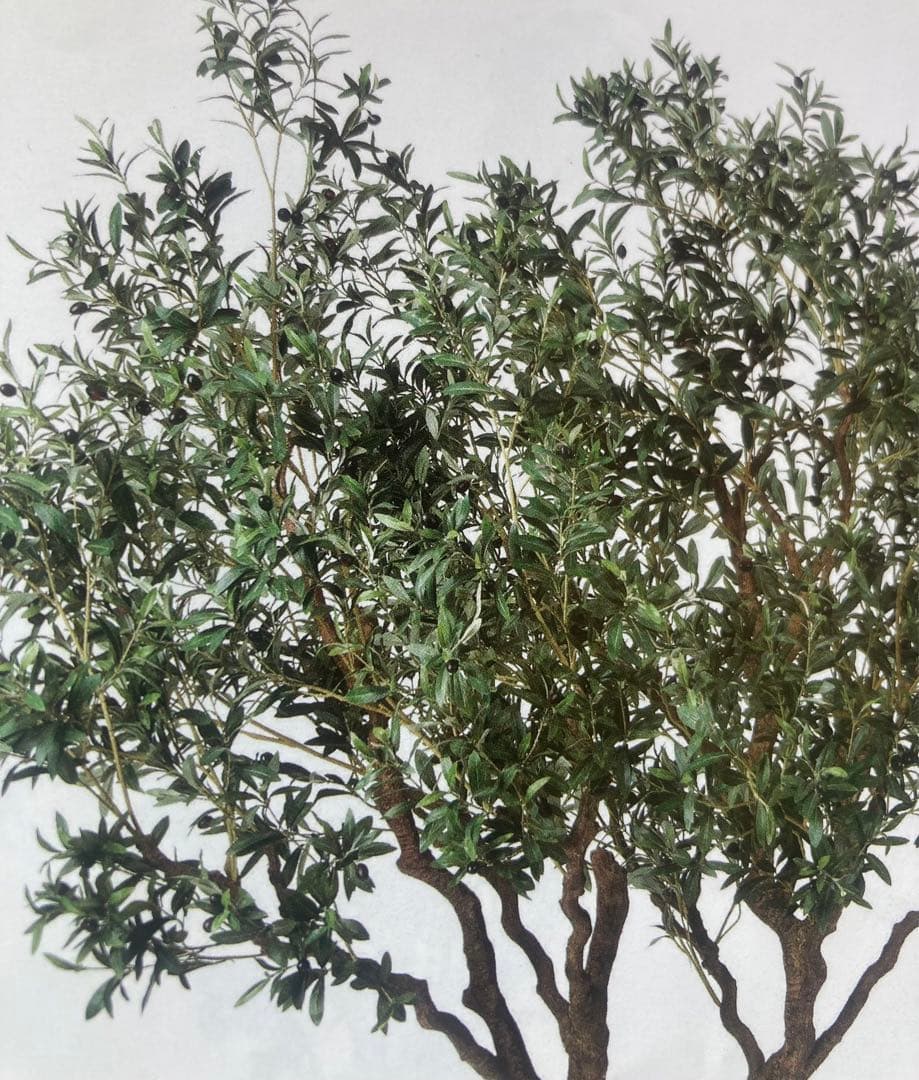 光触媒　人工観葉植物　ウォールグリーン　フェイクグリーン　オリーブ230