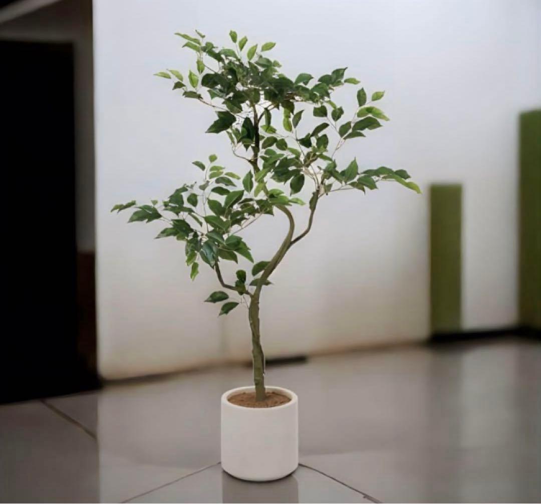 光触媒　人工観葉植物　ウォールグリーン　フェイクグリーン　ベンジャミンポット@p