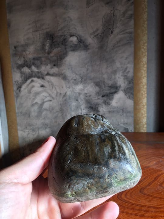 木化石