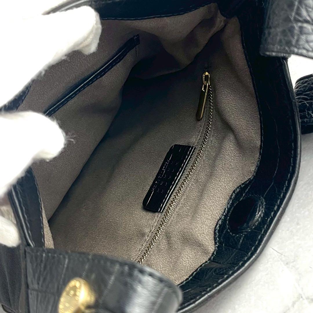 【極美品 限定モデル】 ペッレモルビダ ハンドバッグ スエード レザー クロコ