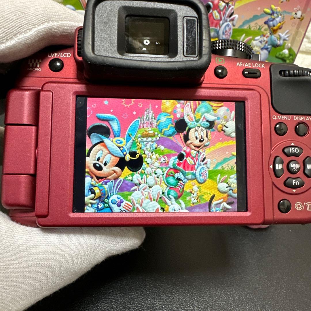Panasonic LUMIX DMC-G2 レンズセット　動作確認済