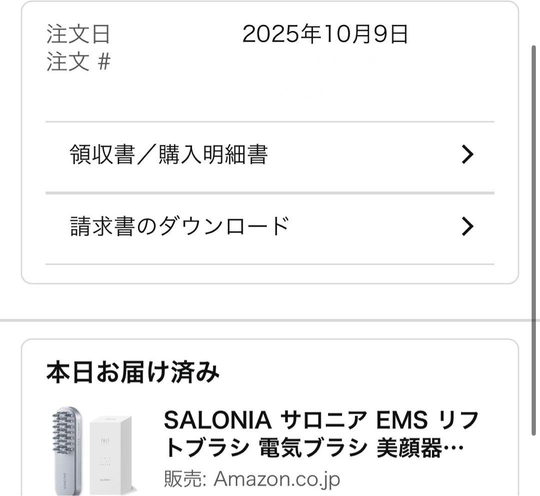 【新品未使用】 SALONIA サロニア EMS リフトブラシ　電気ブラシ